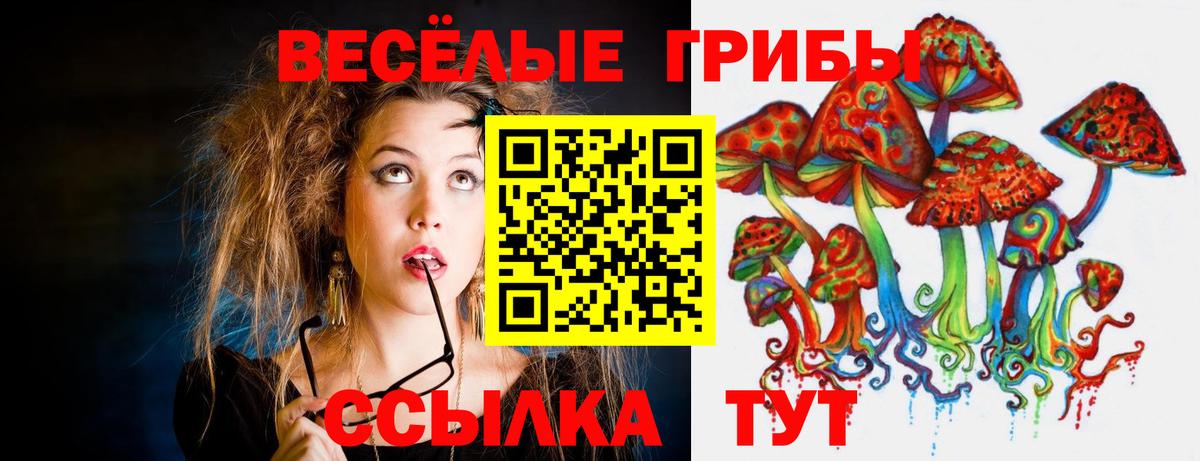 Таганрог  Галлюциногенные грибы мицелий  Вход с VPN 
